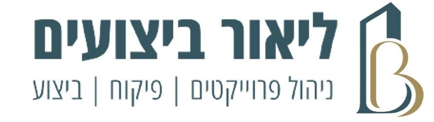 לוגו ליאור ביצועים